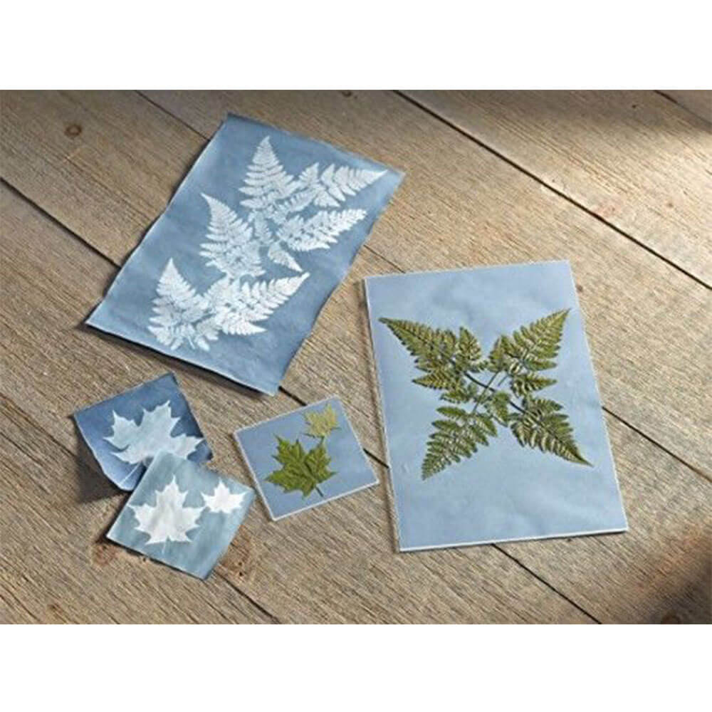 サイエンス&クラフトキット