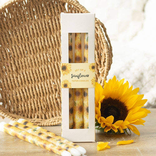Sunflower Unscent Taper Candles (Set of 3)