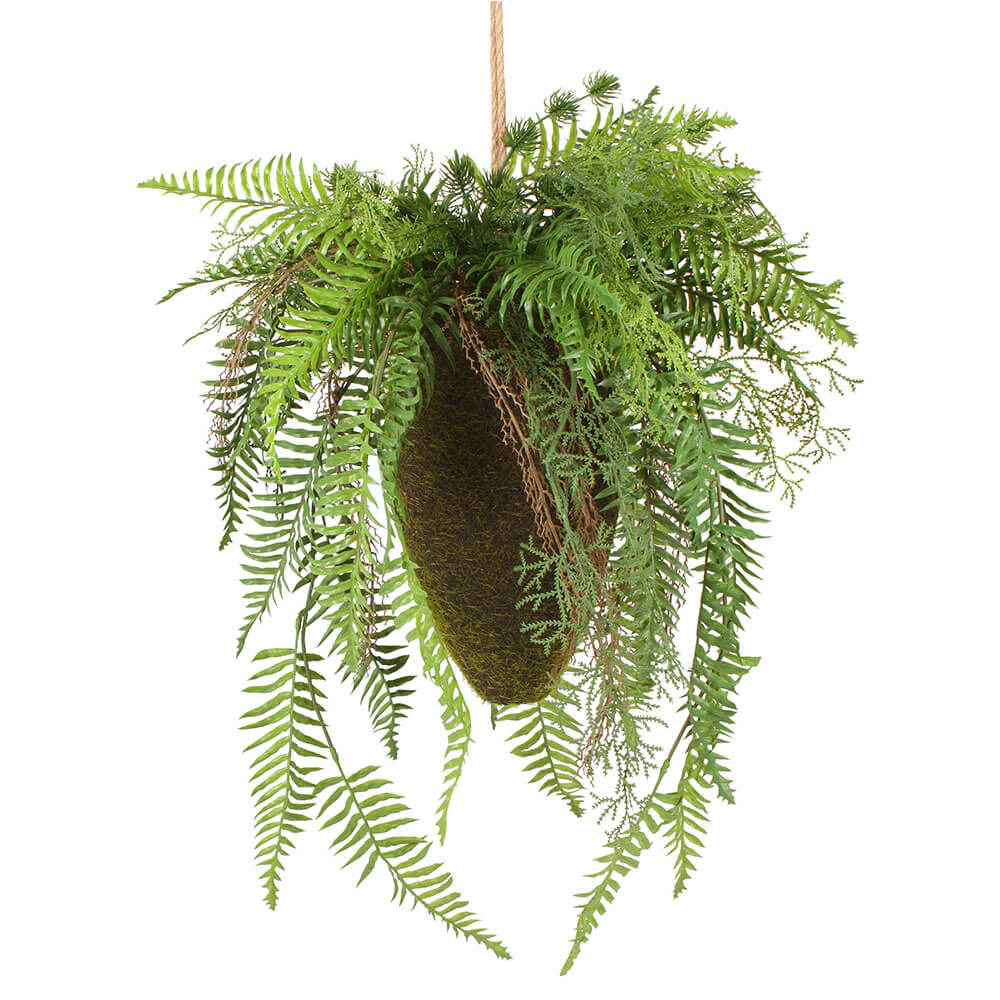 Moana Kokedama Mixed Hanging