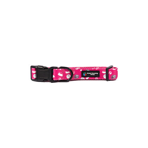 BBL Sydney Sixers Dog Collar