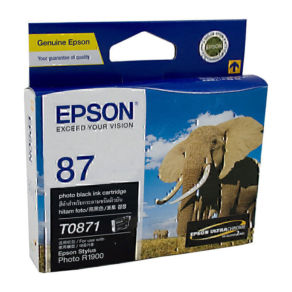 Epson T087 inktcartridge