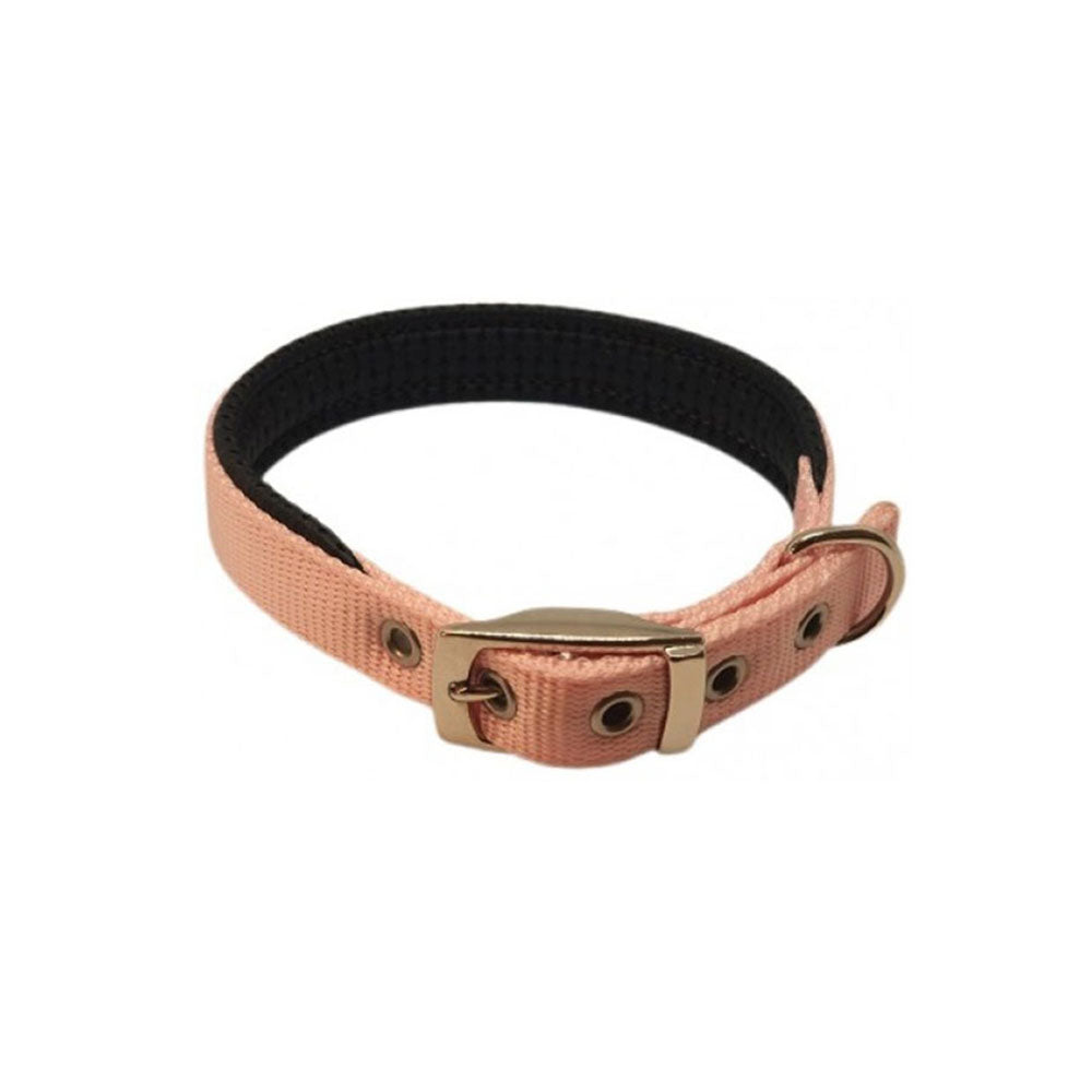 Nylon Padded Collar (Pink)