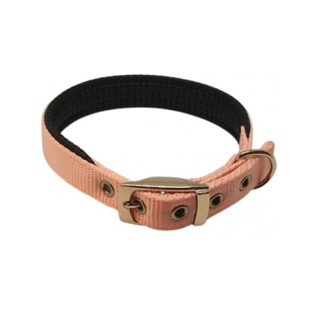 Nylon Padded Collar (Pink)