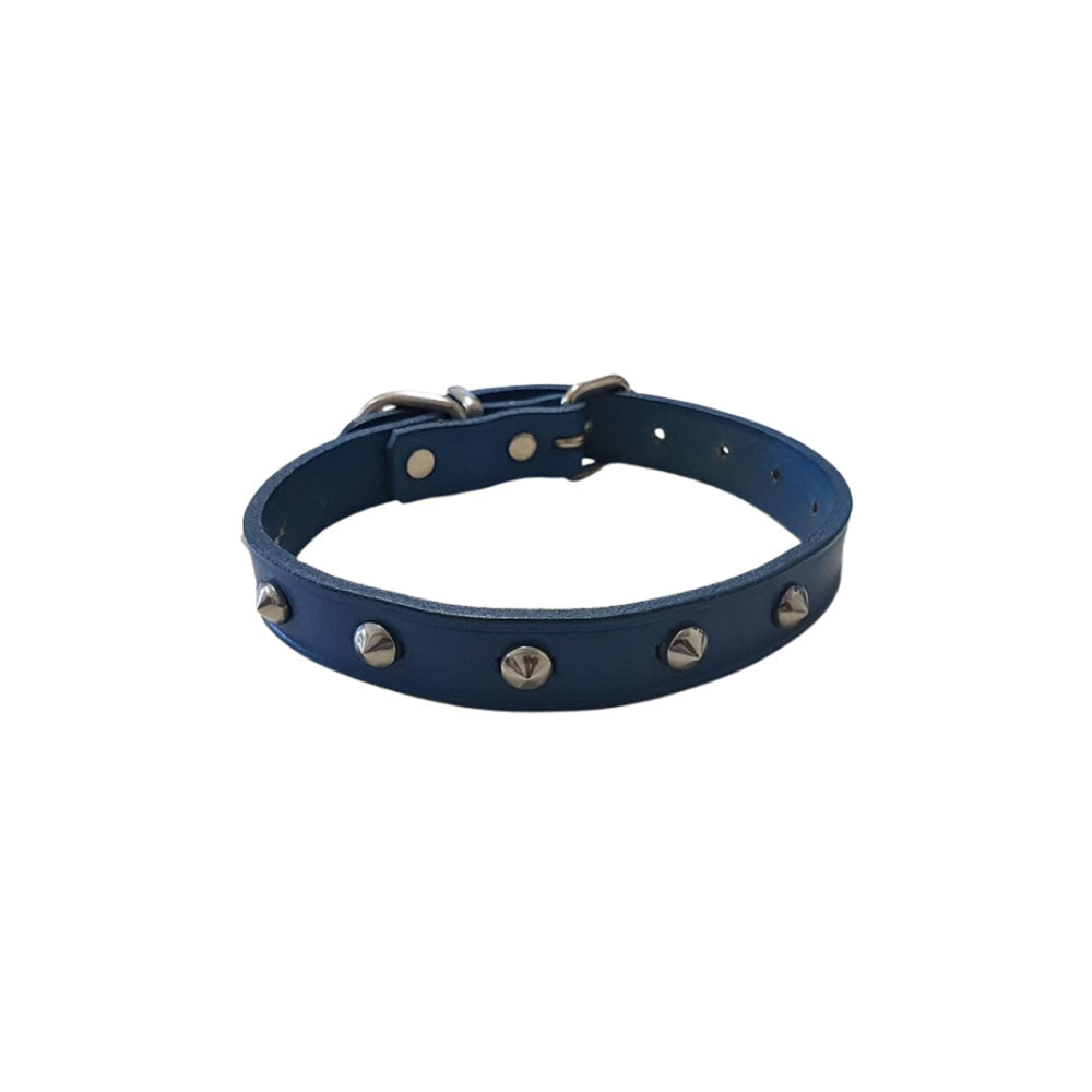 Halsband mit Leder besorgt (blau)