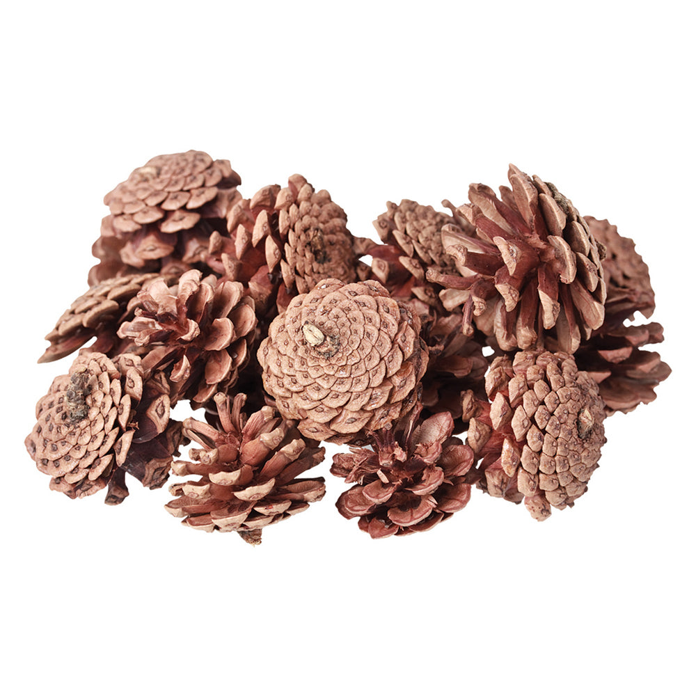 Creative School Supply Pine Cones 200g