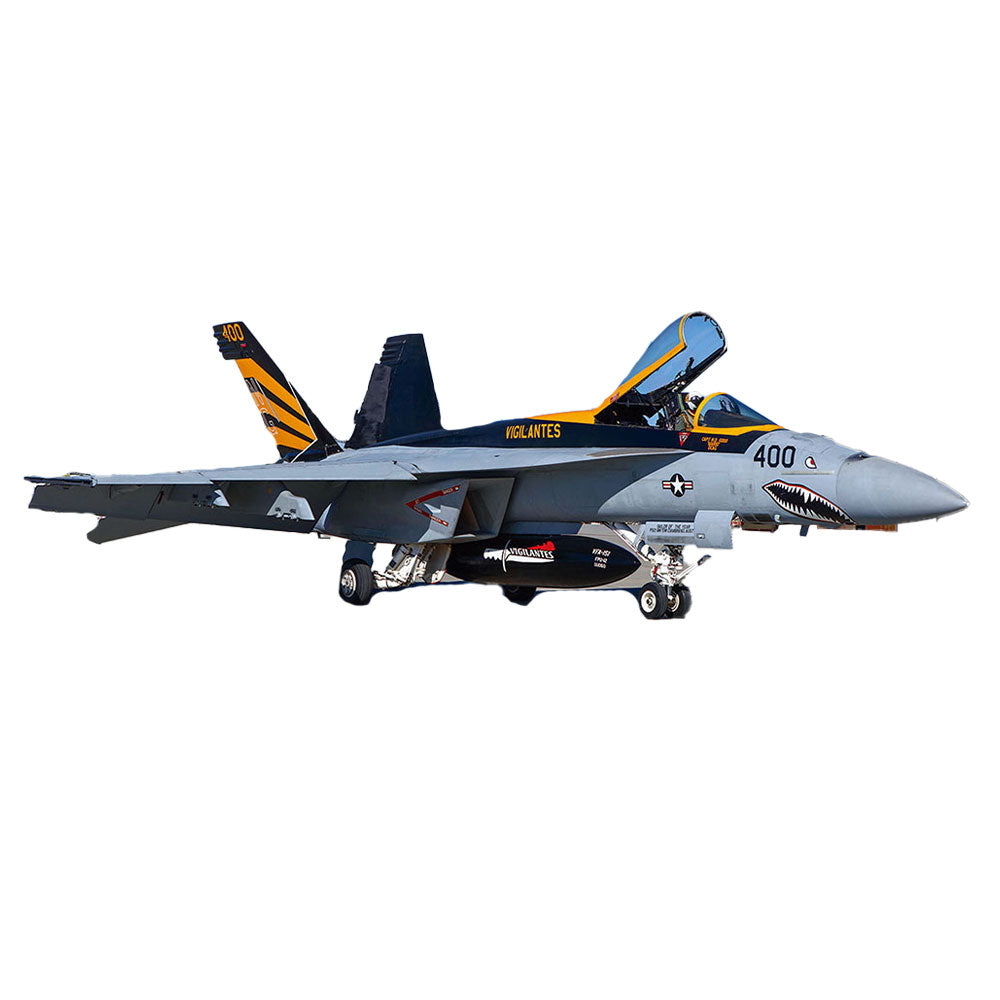 Hasegawa Super Hornet 1/72 SKALE Airplane Model