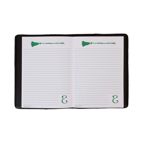 Wicked 2024 Elphaba Diary Journal