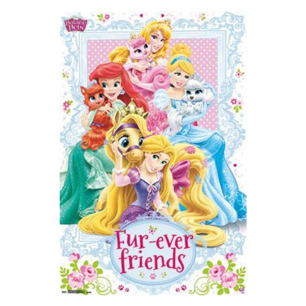 Poster della principessa Disney