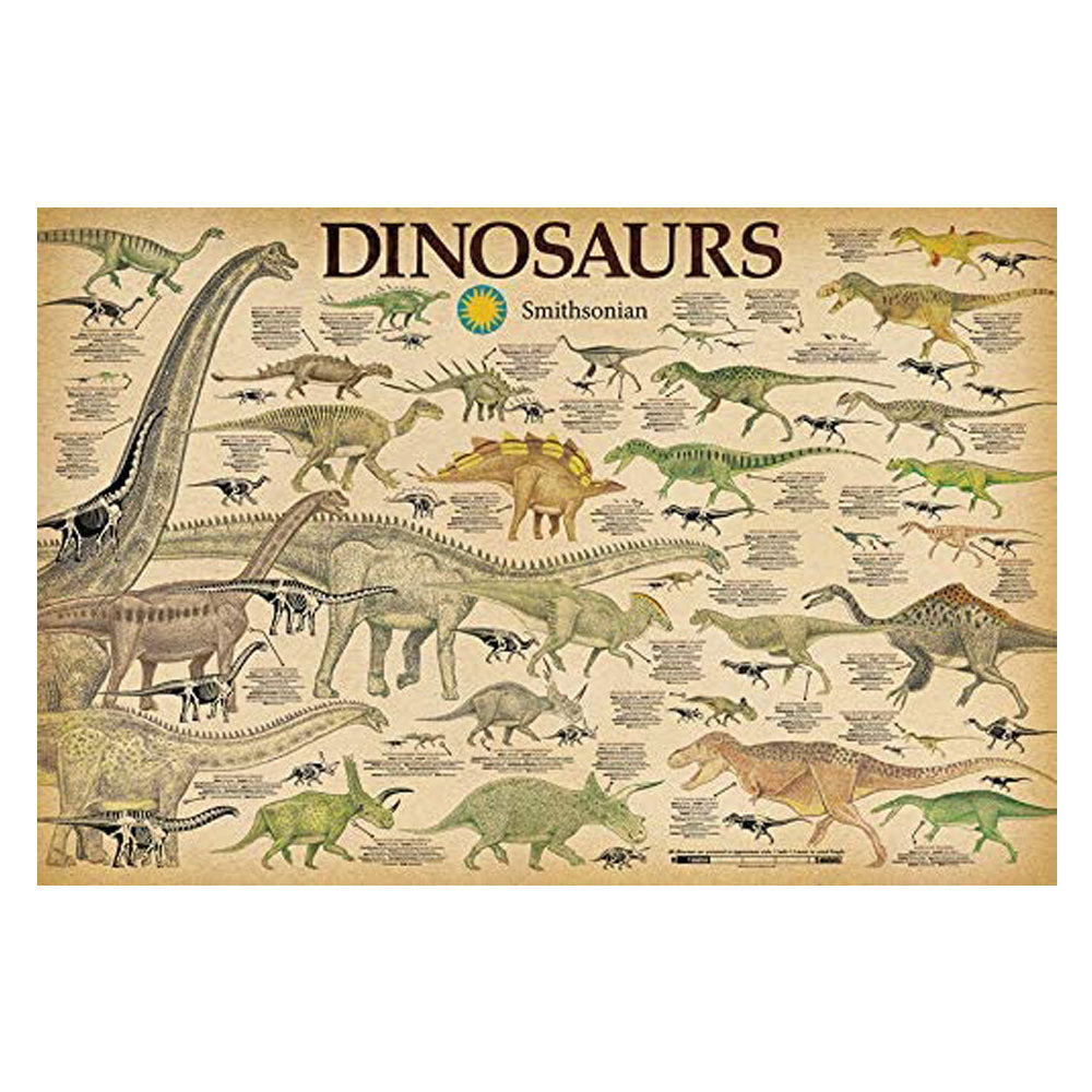 Dinosaurs Poster