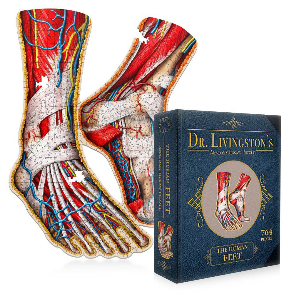 Dr. Livingstons Anatomy Jigsaw -puslespil