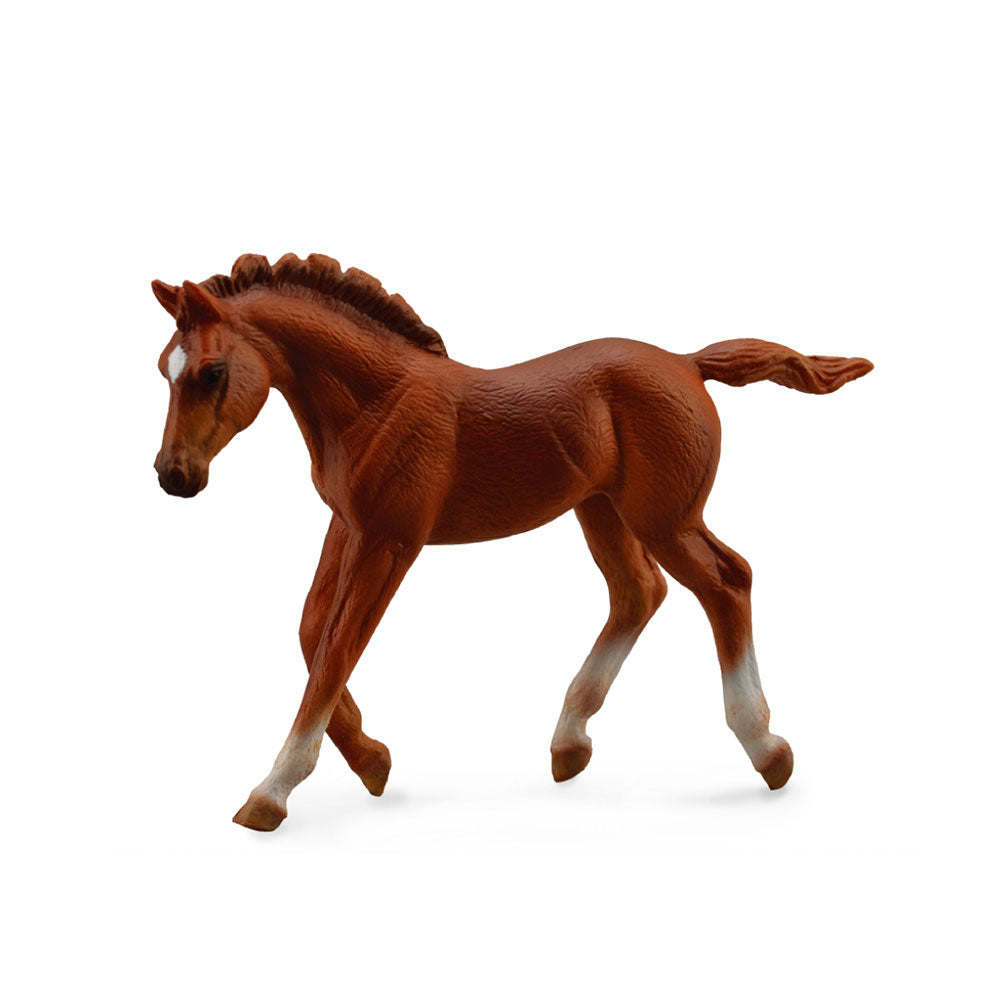 Collecta Thoroughblot Foal Chestnut (medium)