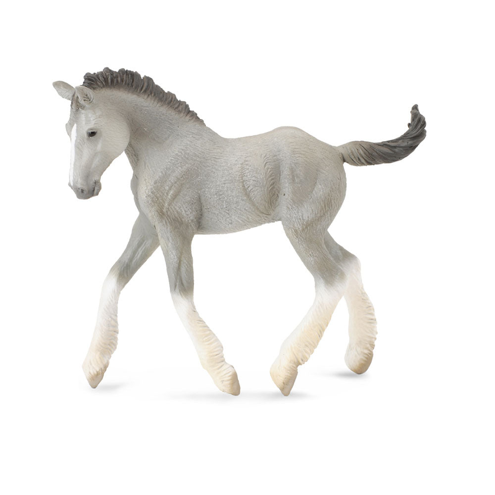 Collecta Shire Horse Foalフィギュア（ミディアム）