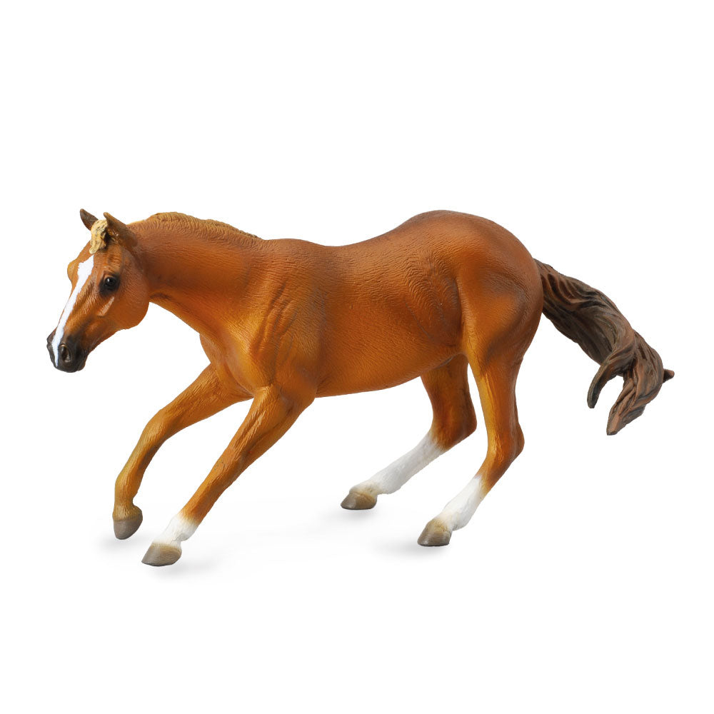 Collecta Quarter Stallion Figur (ekstra stort)