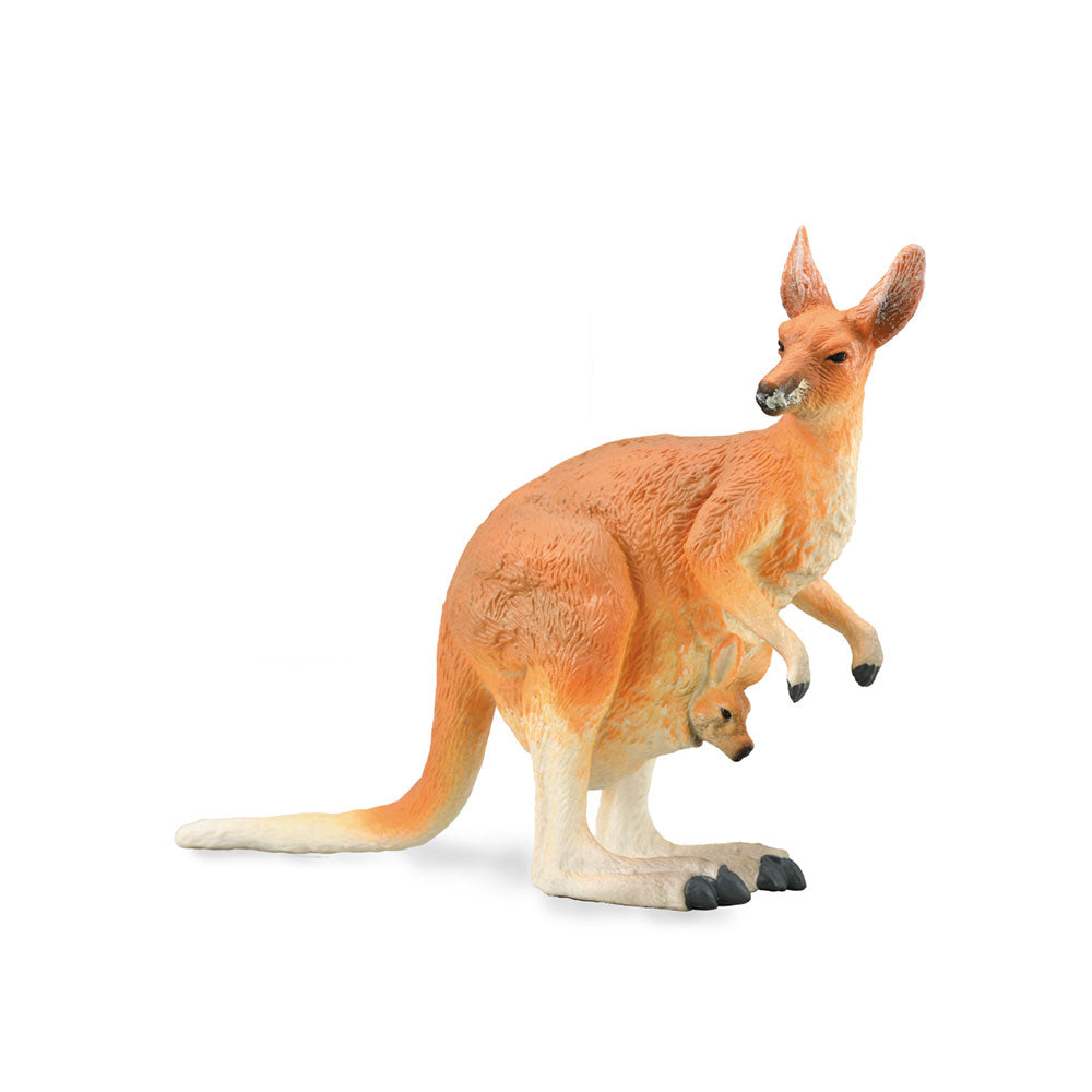 COLCA RED KANGAROO (Large)