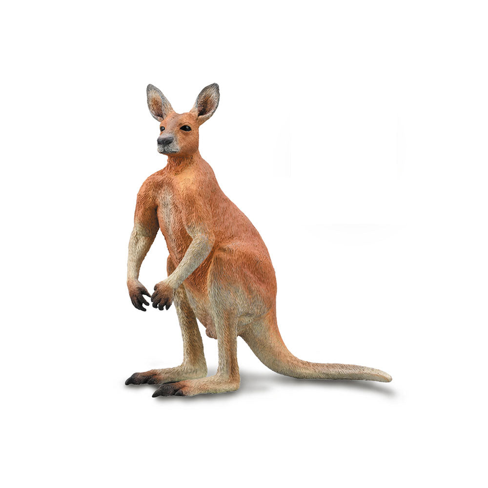 Collecta Red Kangaroo (groot)