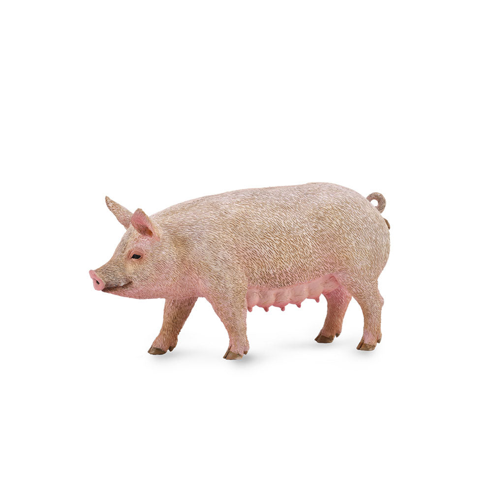 Collecta Pig Figuur (medium)