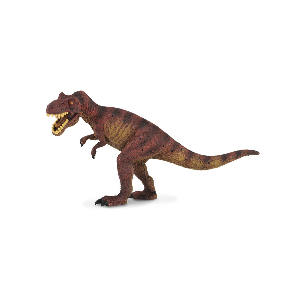 Collecta Tyrannosaurus Rex dinosaurfigur (stor)