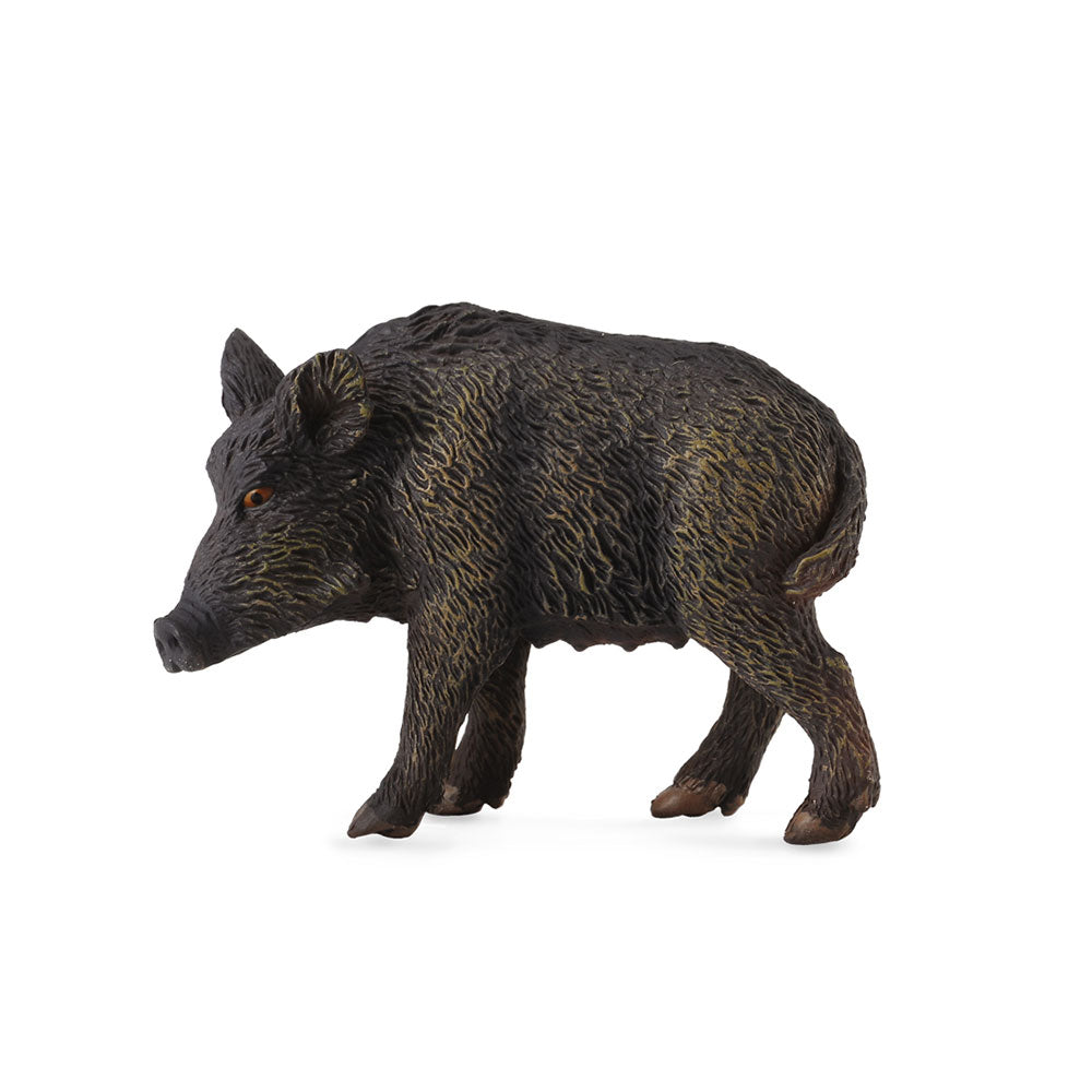 Collecta Wild Pig Figuur (medium)