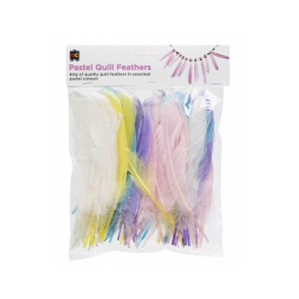 Ec Quill Feathers 60G