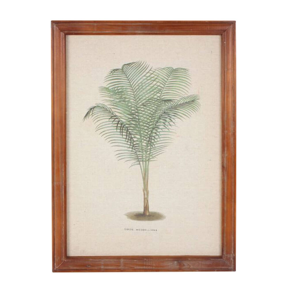 Innrammet vintage Palm Wall Art (38x52x1.8cm)