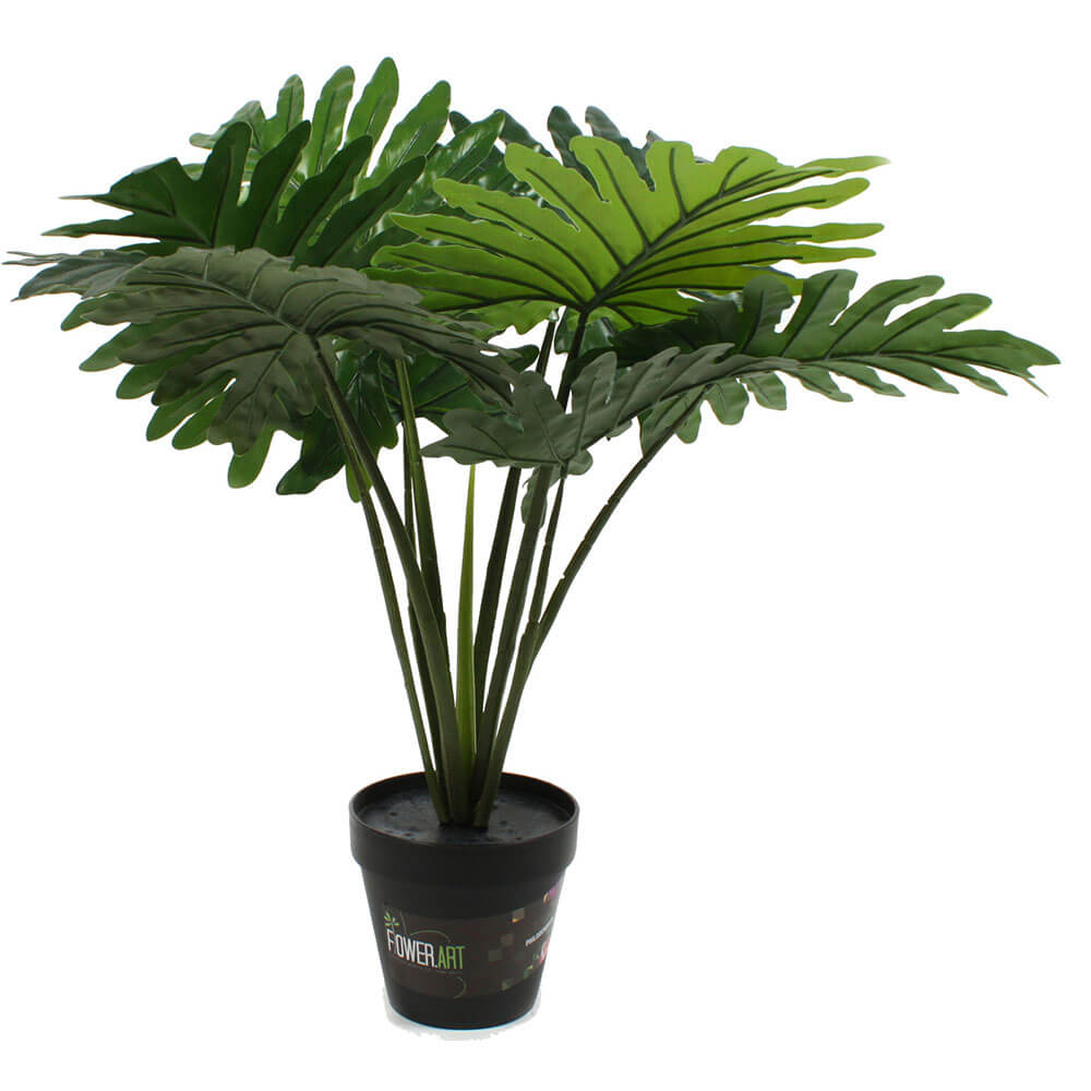 Plante i pot 60 cm