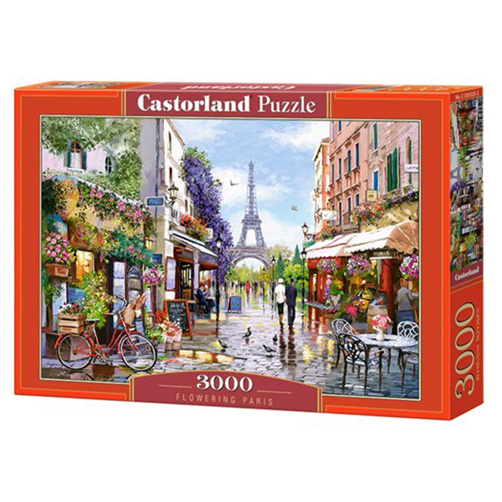 Castorland Classic Puzzle 3000 stk