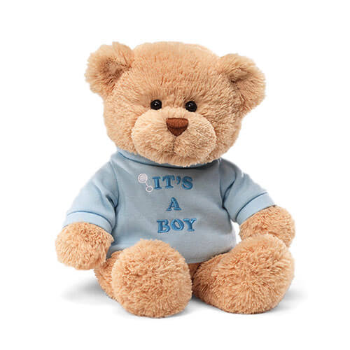 Gund Message Bear