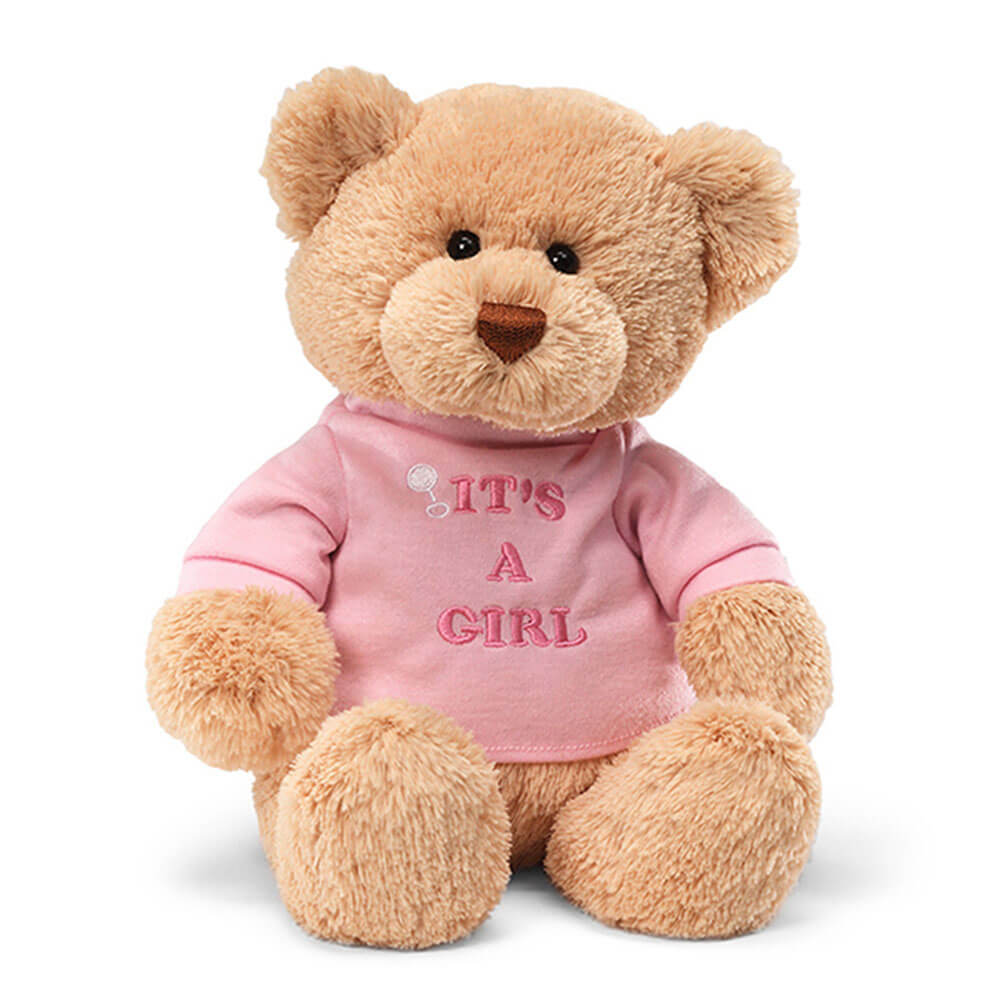 Gund Message Bear