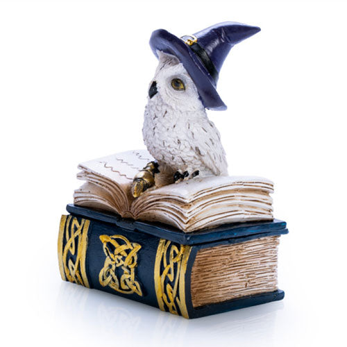 Snowy Owl Book Trinket Box