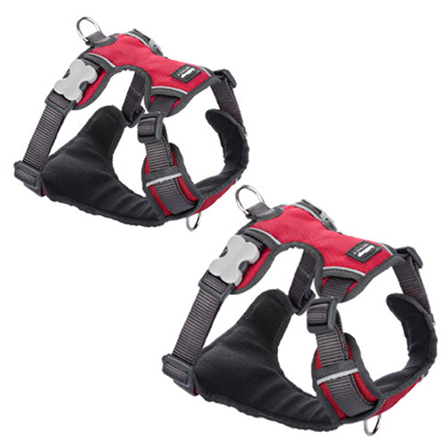 Padded Harness (Red)