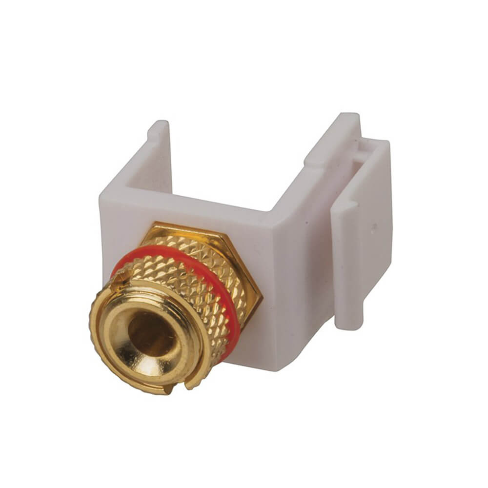 Keystone Insert Banana Socket (goud)